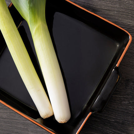 Calisto Terracotta Black Glazed Oven To Table Dish