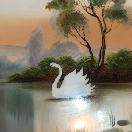 RC Alladin Japanese China Salva.