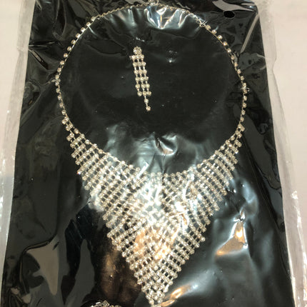 Modern Ladies Neclace & Earrings.