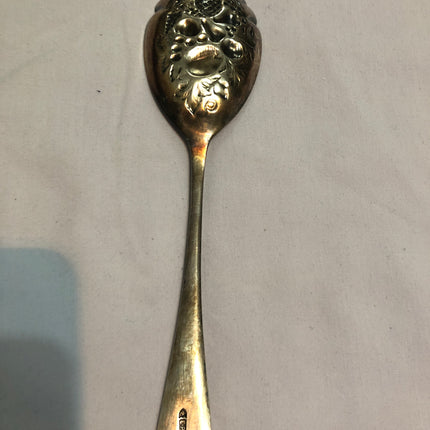 Vintage Fruit Serving Spoon.