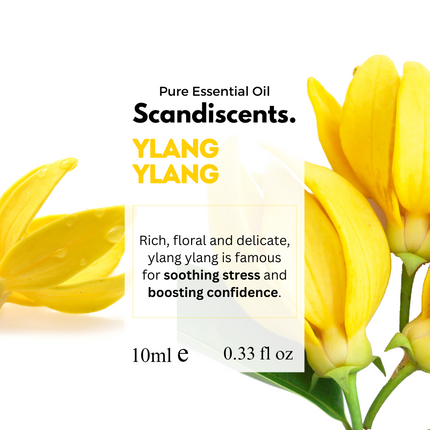 Ylang Ylang