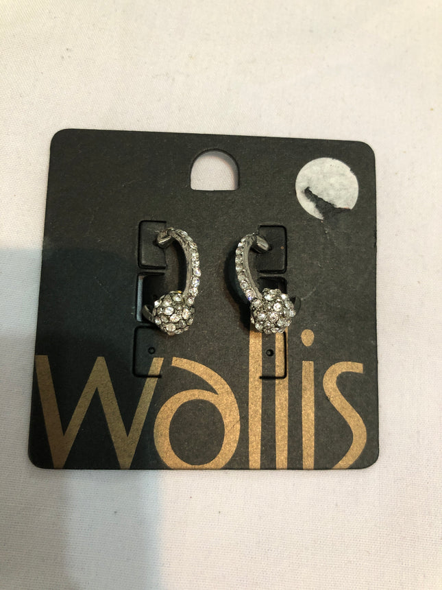 Modern Ladies Sparkly Earrings.